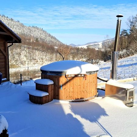 Willa Na Wzgorzu Piwniczna-Zdroj Exteriér fotografie
